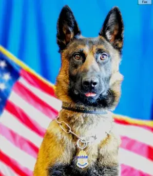 In Memoriam photo of Fax, Office of Field Operations, U.S. Customs and Border Protection. End of Watch: 4/16/2022.