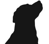 Black and white graphic of a dog