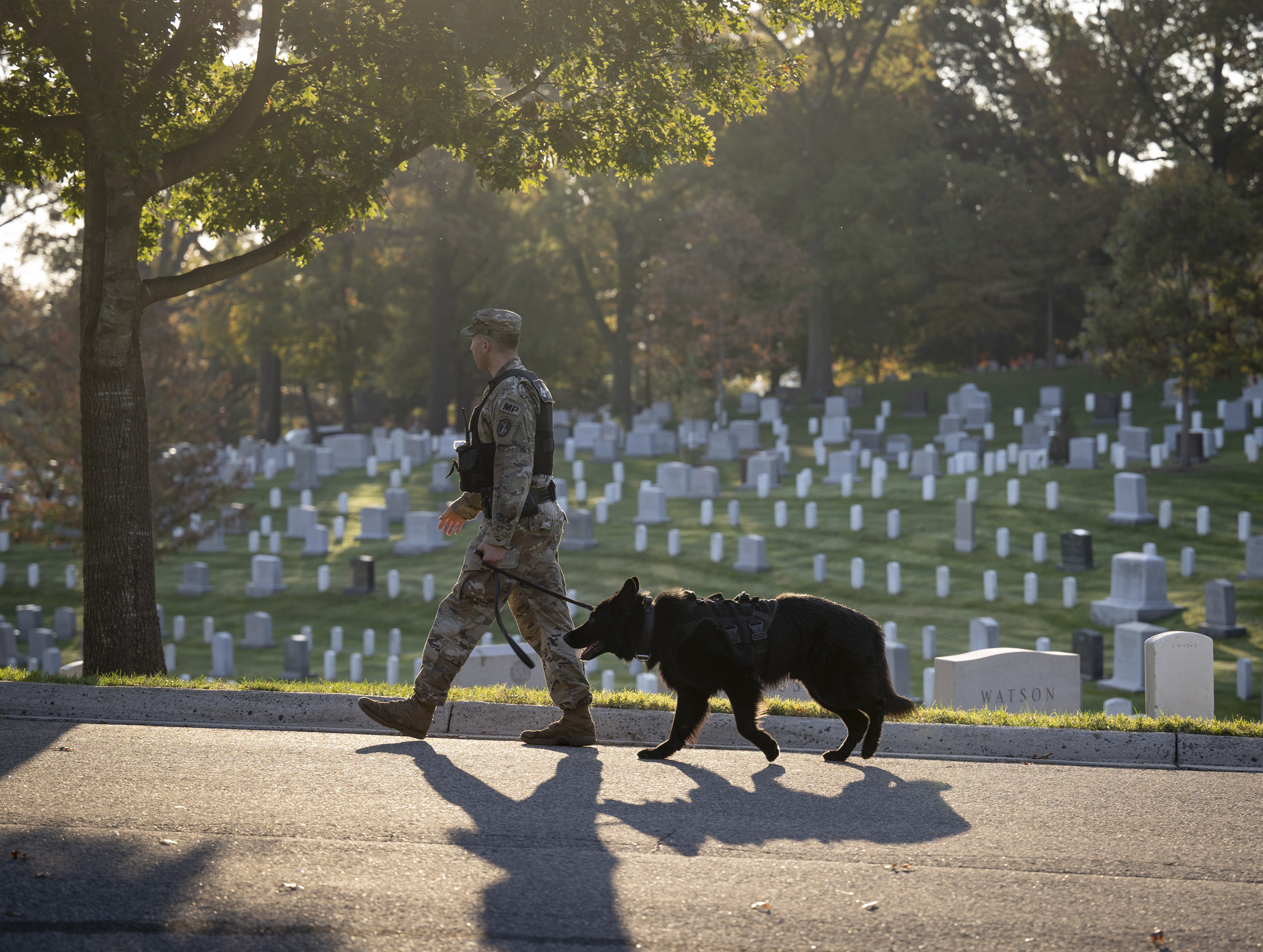 are dogs allowed at arlington national cemetery