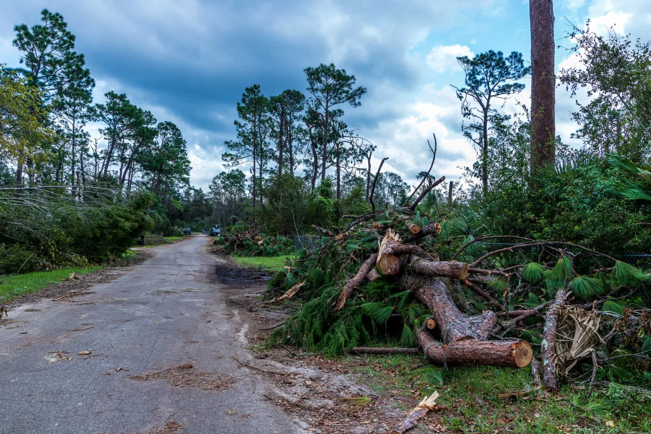 Image: Damage from Hurricane Idalia