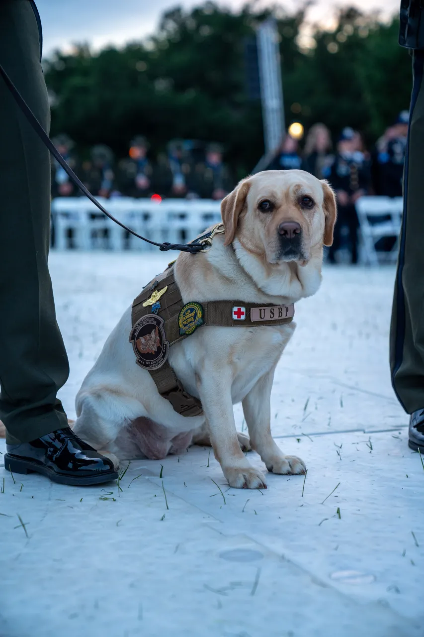 Image: DHS Secretary Alejandro Mayorkas Participates in the Annual Candlelight Vigil on the National Mall (008)