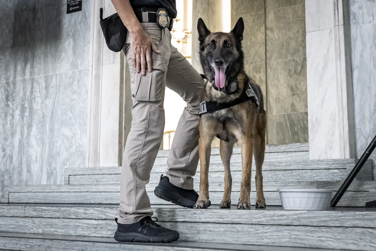 Image: DHS Working Canine Showcase on the Hill (003)