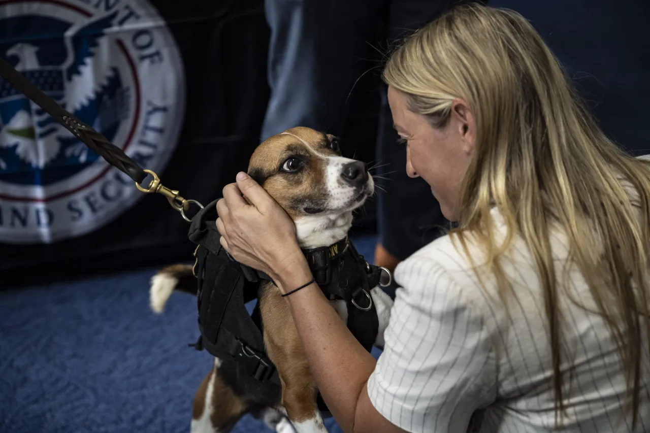 Image: DHS Working Canine Showcase on the Hill (006)