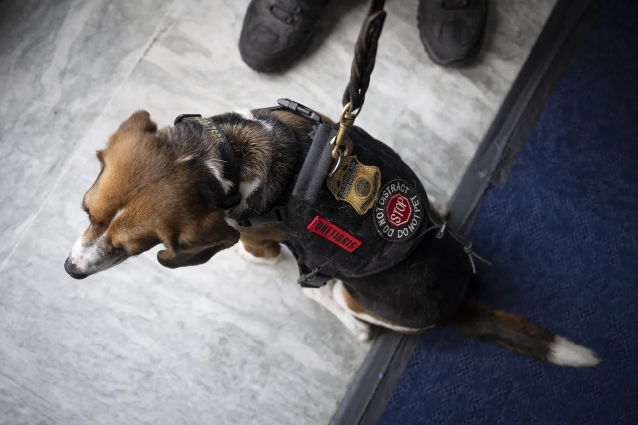 Image: DHS Working Canine Showcase on the Hill (018)