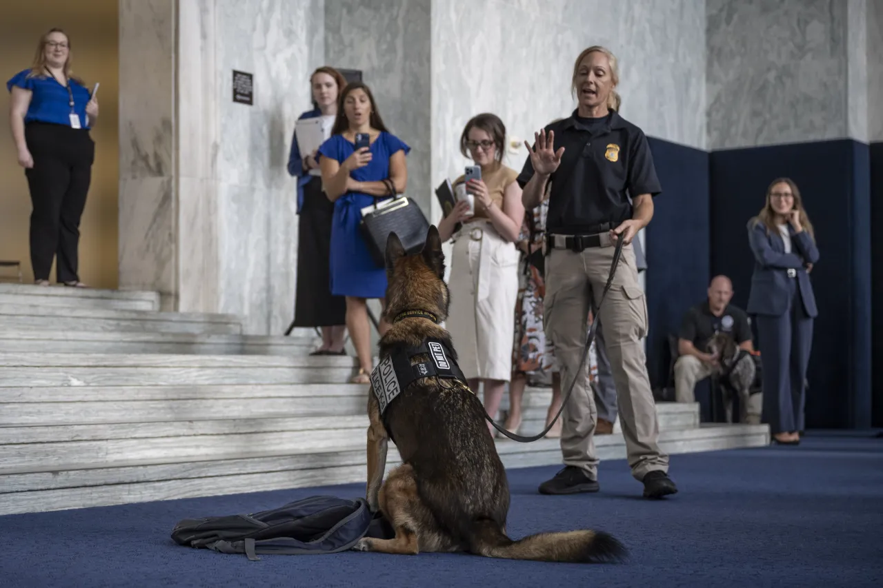 Image: DHS Working Canine Showcase on the Hill (025)