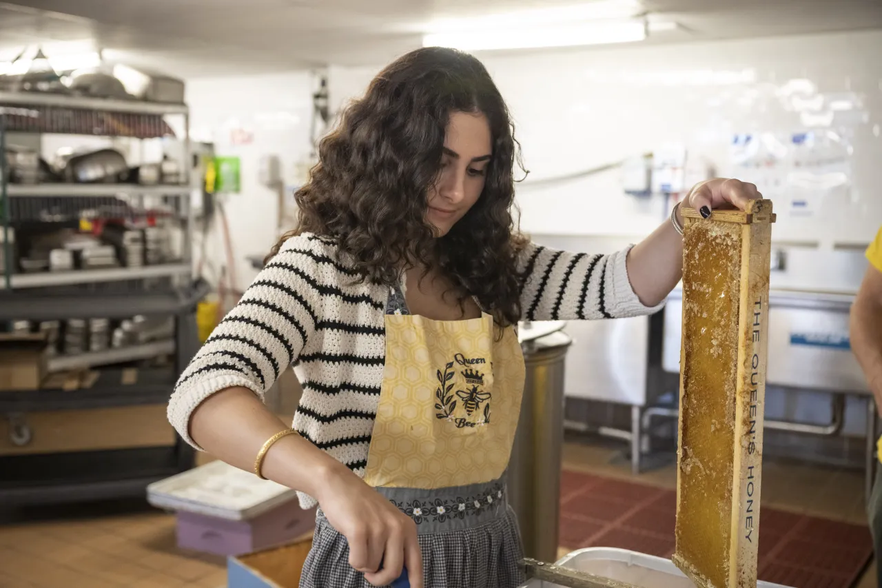 Image: DHS Members Participate in Third Annual St. Elizabeths Honey Extraction (003)