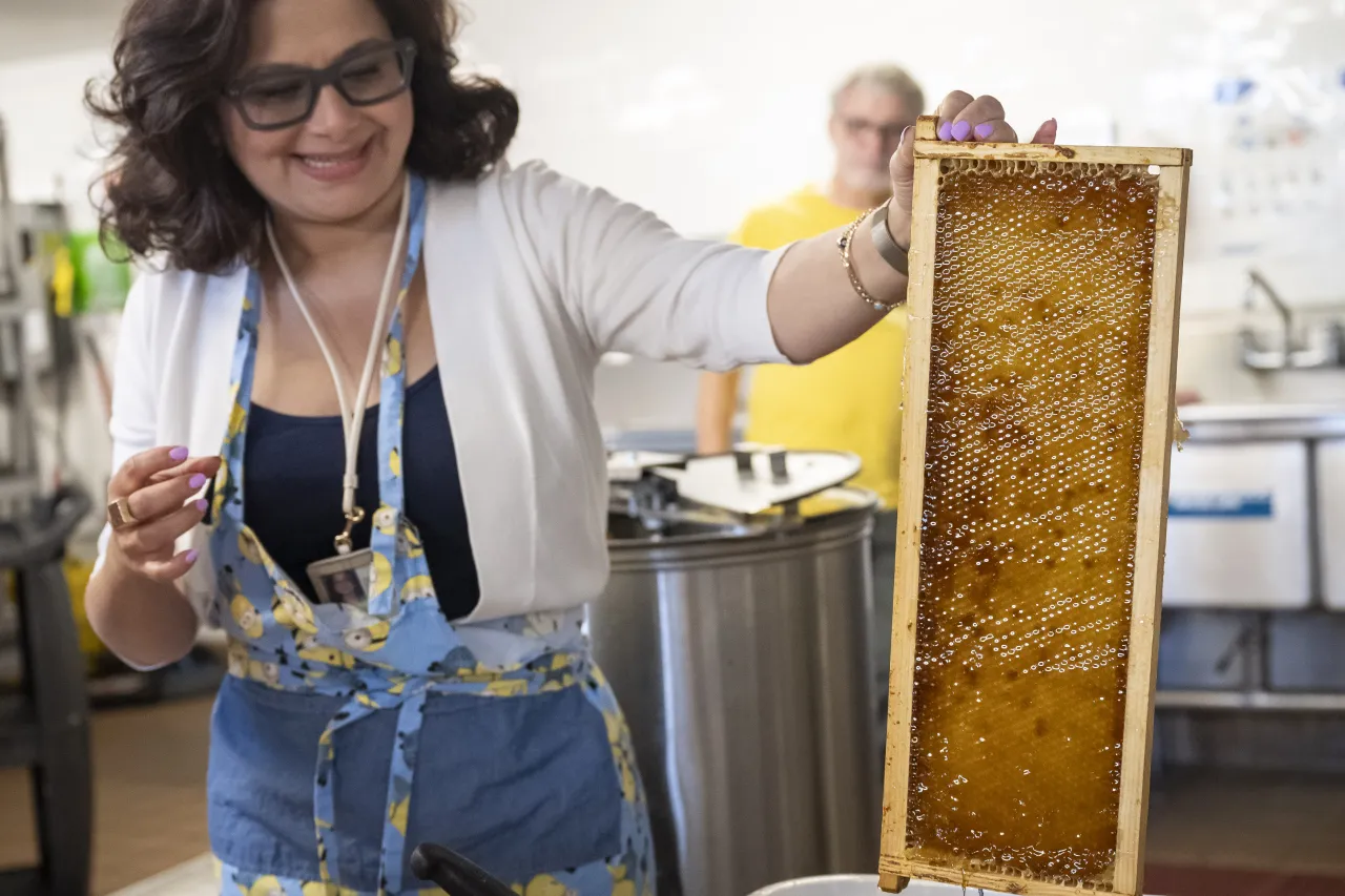 Image: DHS Members Participate in Third Annual St. Elizabeths Honey Extraction (008)