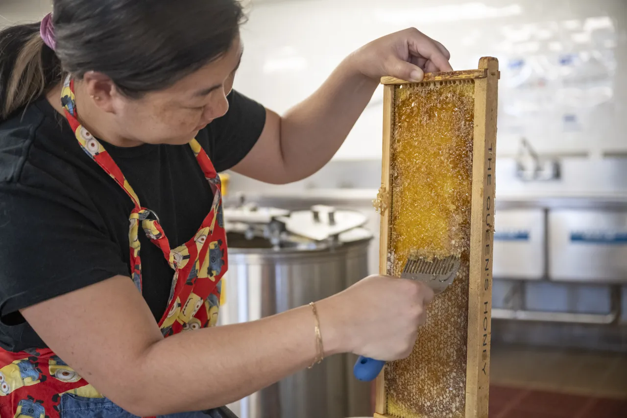 Image: DHS Members Participate in Third Annual St. Elizabeths Honey Extraction (009)