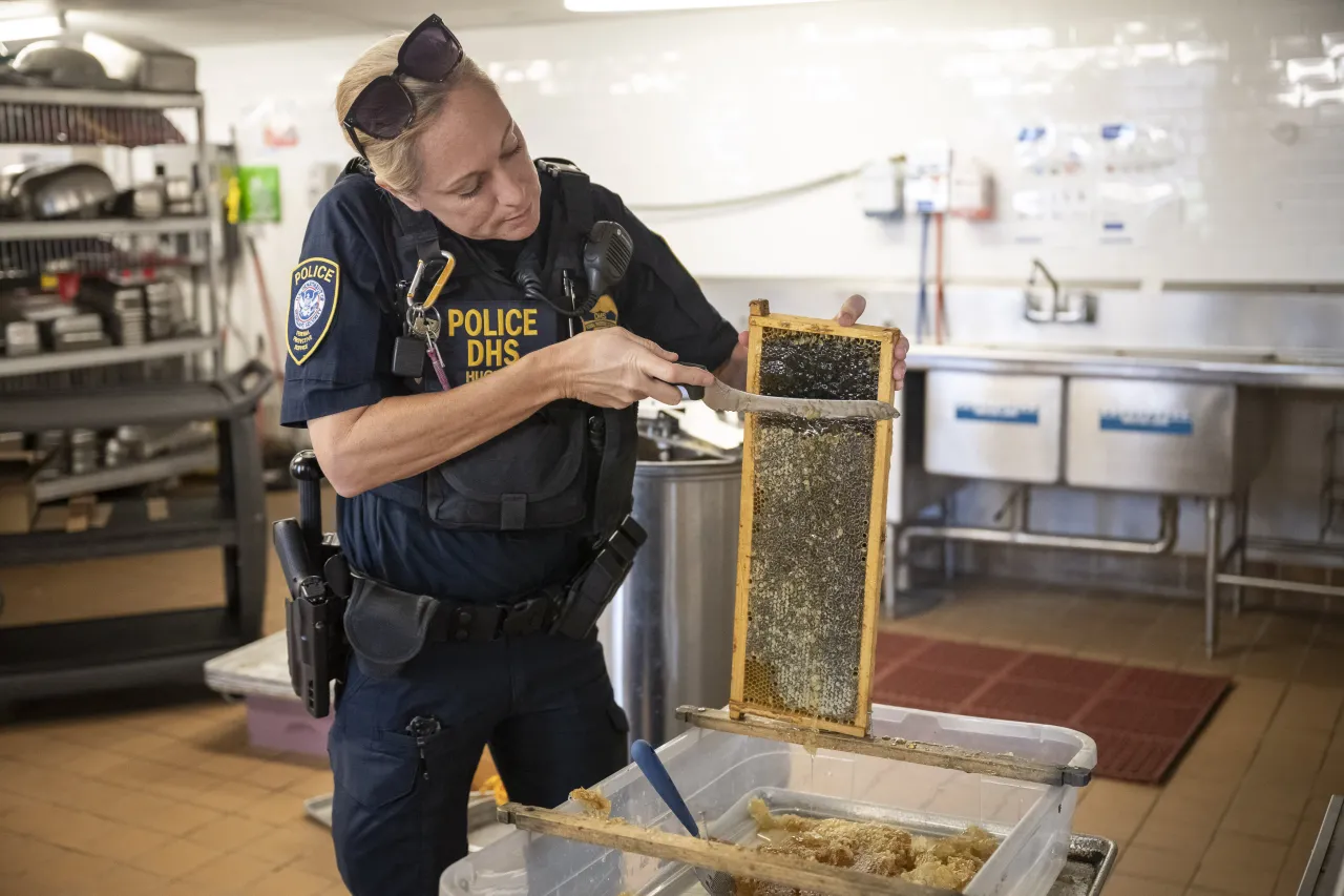 Image: DHS Members Participate in Third Annual St. Elizabeths Honey Extraction (010)