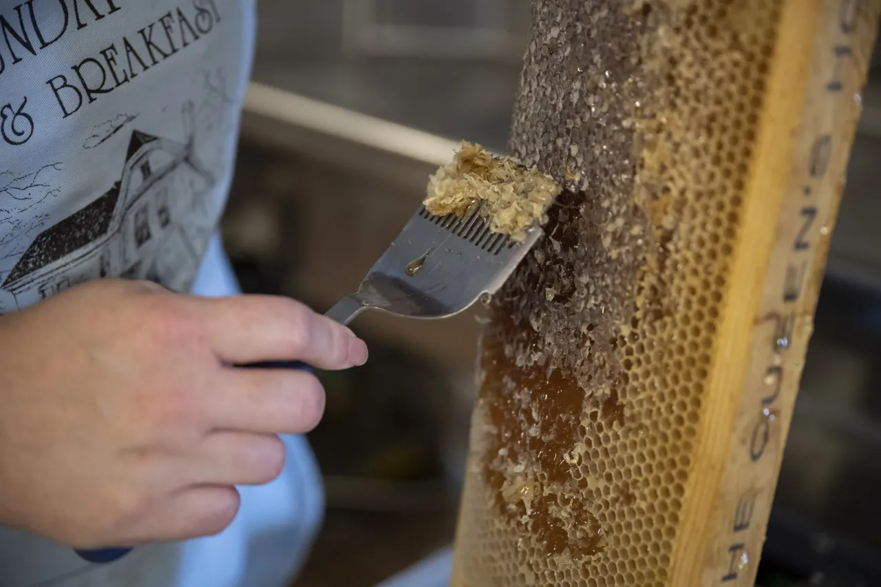 Image: DHS Members Participate in Third Annual St. Elizabeths Honey Extraction (014)