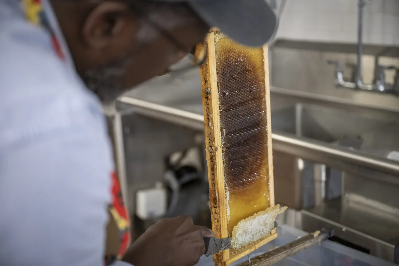 Image: DHS Members Participate in Third Annual St. Elizabeths Honey Extraction (022)