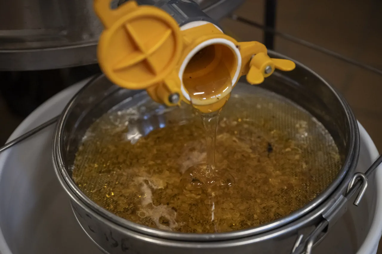 Image: DHS Members Participate in Third Annual St. Elizabeths Honey Extraction (027)