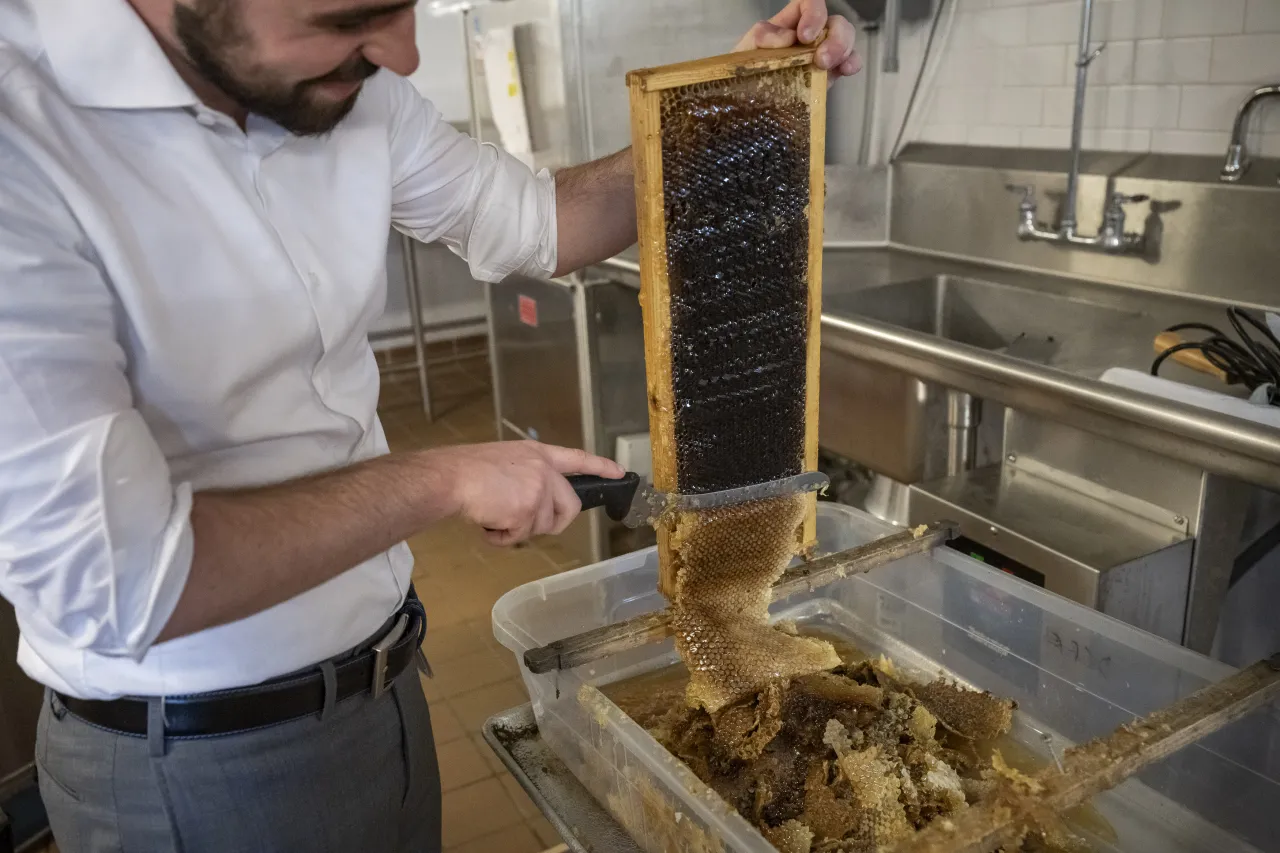 Image: DHS Members Participate in Third Annual St. Elizabeths Honey Extraction (028)