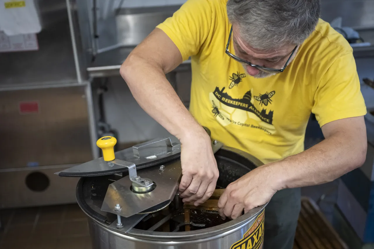 Image: DHS Members Participate in Third Annual St. Elizabeths Honey Extraction (033)