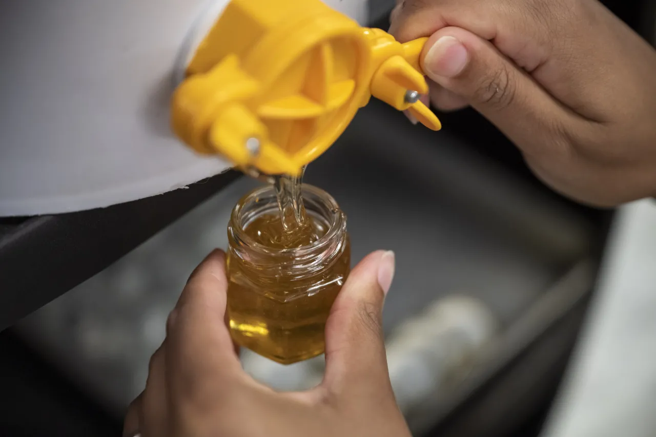 Image: DHS Members Participate in Third Annual St. Elizabeths Honey Extraction (037)