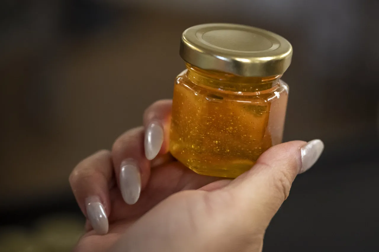 Image: DHS Members Participate in Third Annual St. Elizabeths Honey Extraction (038)