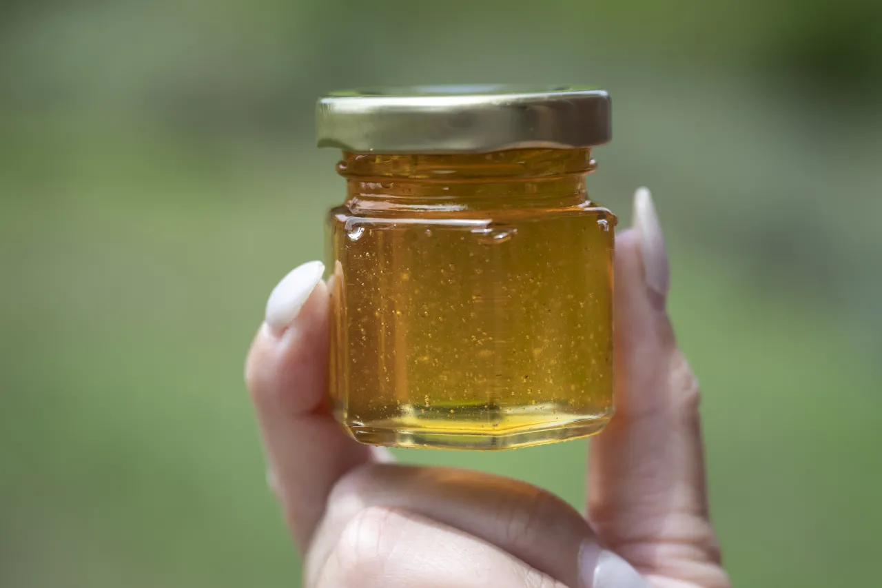 Image: DHS Members Participate in Third Annual St. Elizabeths Honey Extraction (039)