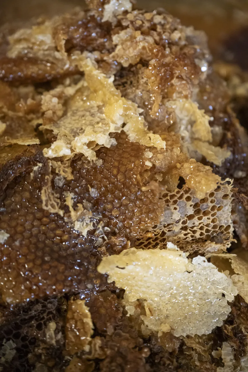 Image: DHS Members Participate in Third Annual St. Elizabeths Honey Extraction (042)