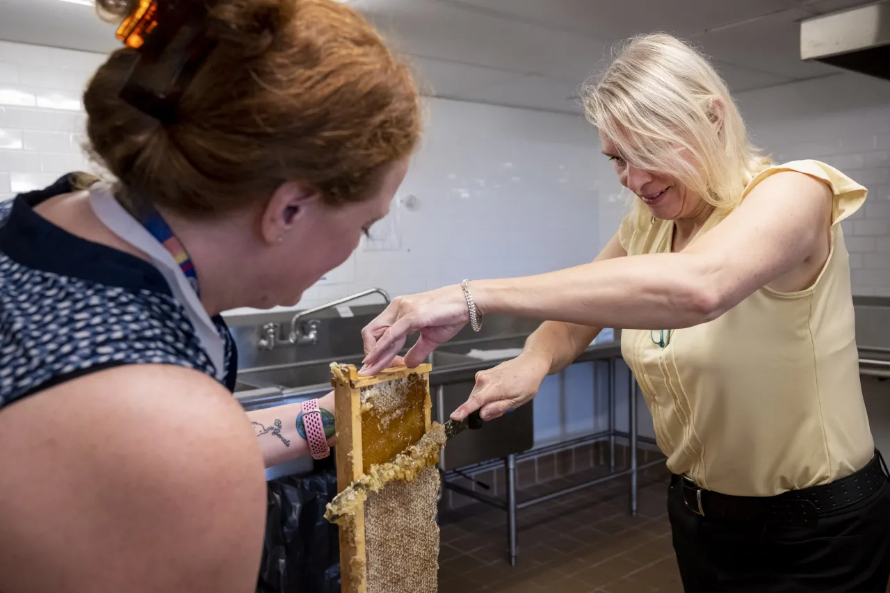 Image: DHS Employees Extract Honey From Bees on Campus (048)