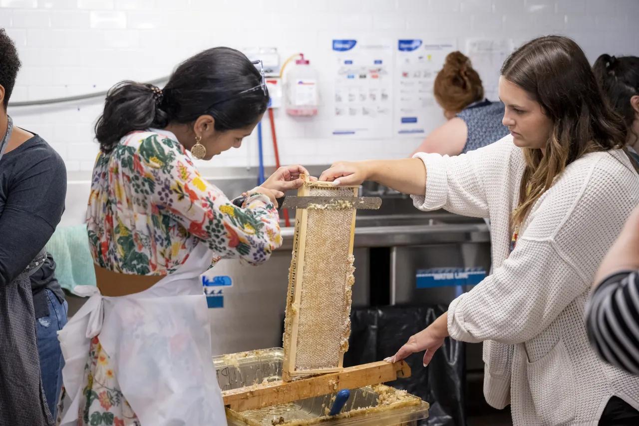 Image: DHS Employees Extract Honey From Bees on Campus (023)