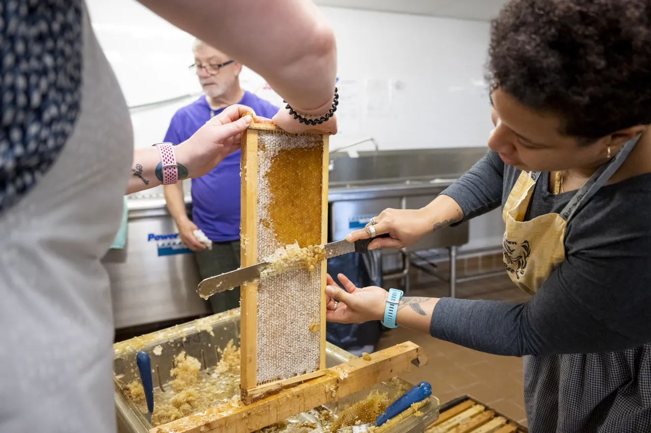 Image: DHS Employees Extract Honey From Bees on Campus (014)