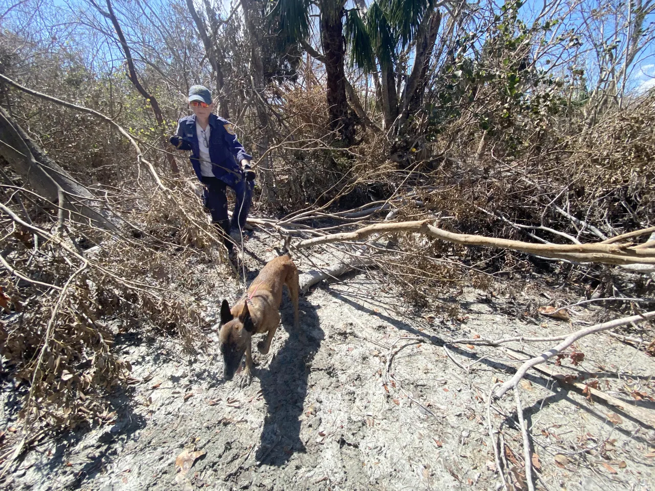 Image: FEMA Urban Search and Rescue Teams Search Areas Impacted by Hurricane Ian (1)