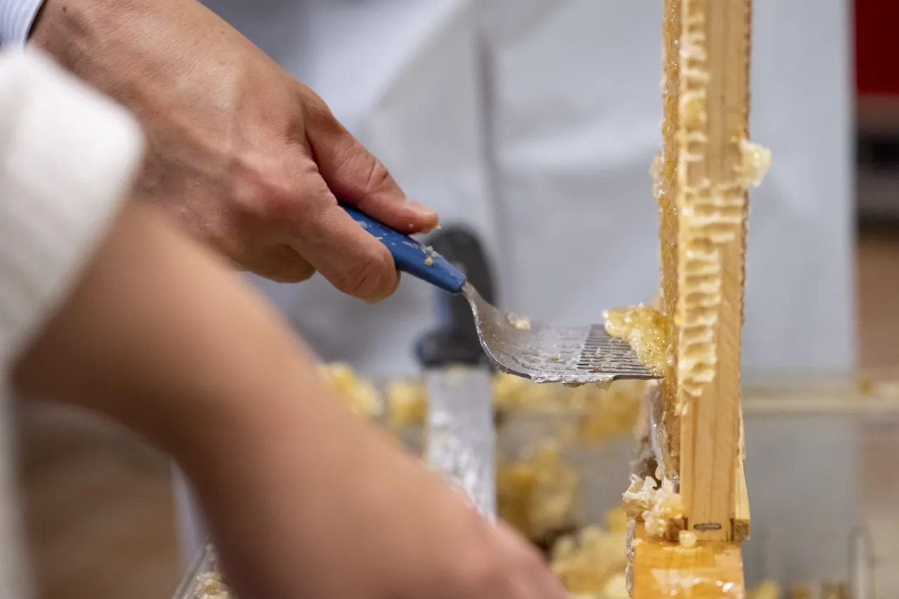 Image: DHS Employees Extract Honey From Bees on Campus (033)