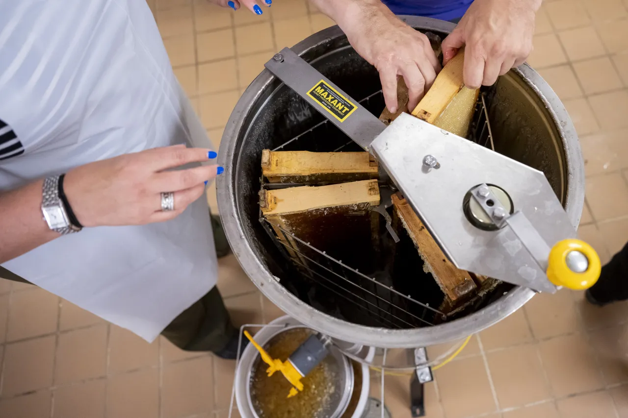 Image: DHS Employees Extract Honey From Bees on Campus (051)