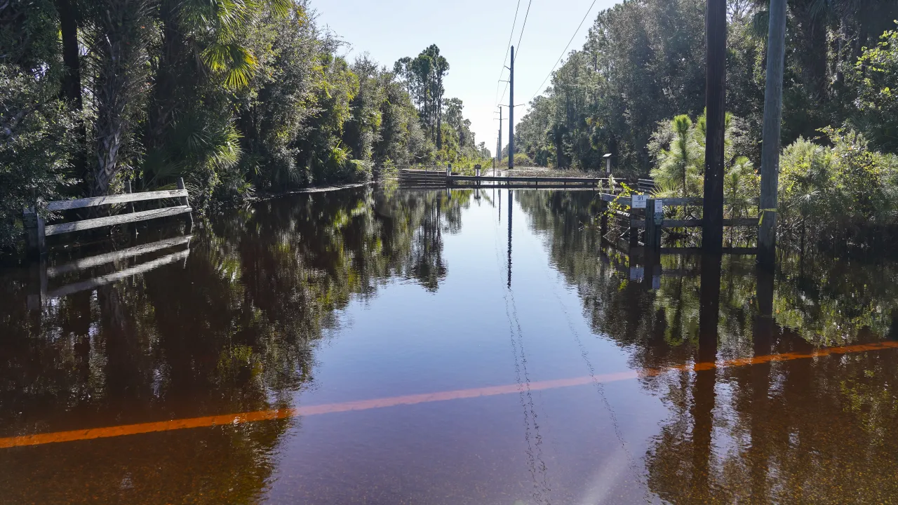 Image: Lake Harney Woods Flooded by Hurricane Ian