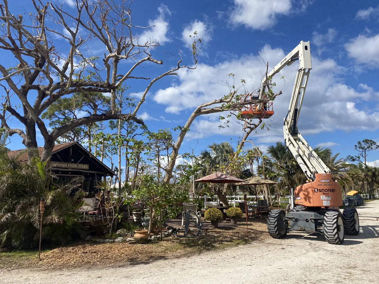 Image: Crews Continue Work on Cleaning Up Pine Island, Florida