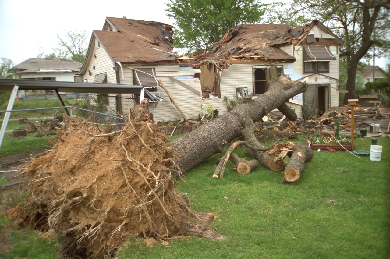 Image: Hurricane Andrew - A fallen tree lies in front of a damaged house