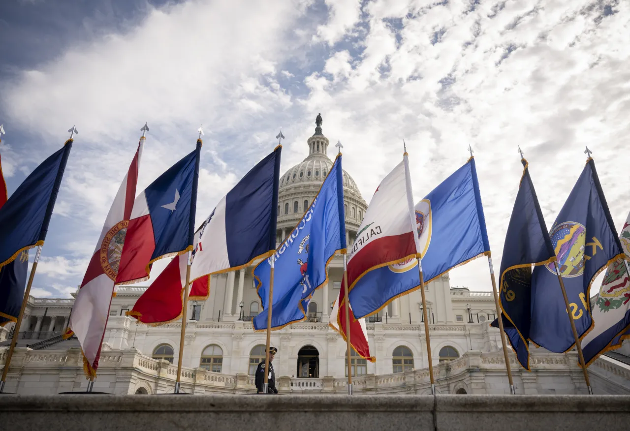 Image: State Flags Wave in Front of the U.S. Capitol