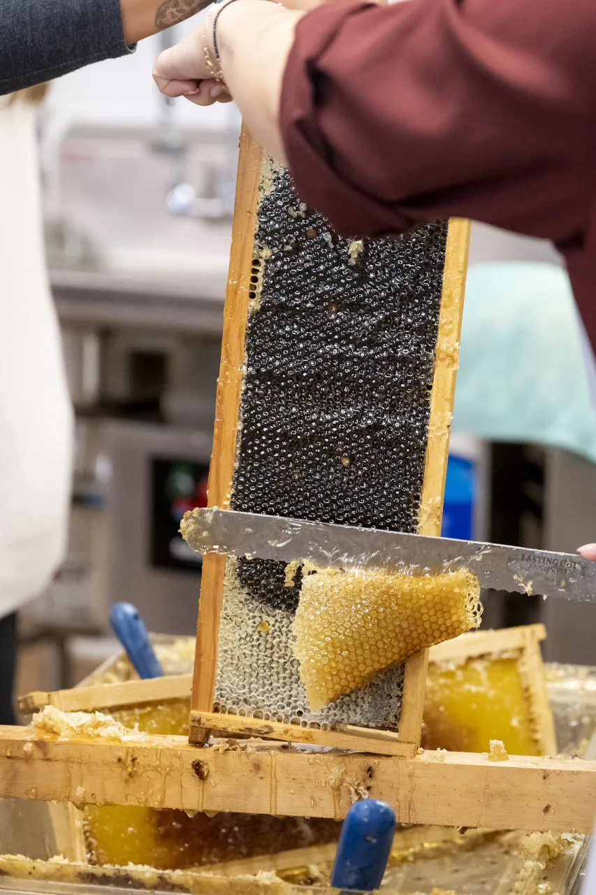 Image: DHS Employees Extract Honey From Bees on Campus (008)