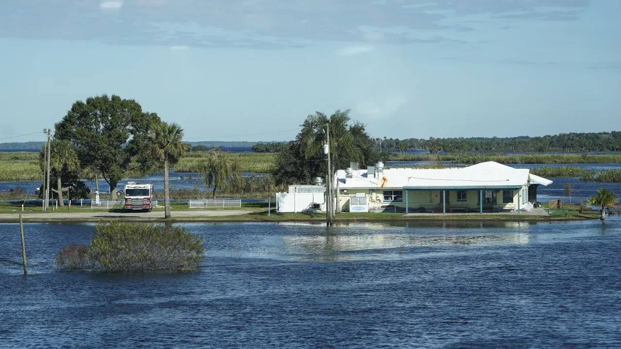 Image: Lake Harney Woods by Hurricane Ian