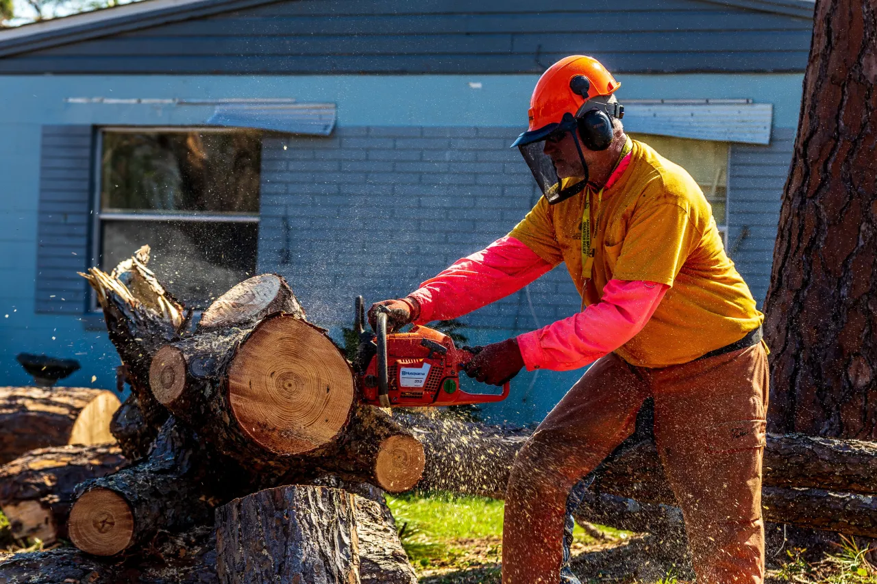 Image: Volunteer Clears Trees