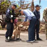 Image: President Biden Surveys Hawaii Wildfire Damage