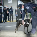 Image: Acting Secretary Wolf Participates in an Operational Tour of San Ysidro Port of Entry (12)