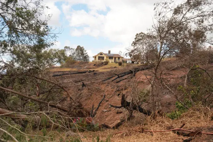 Image: Maui Wildfire Damage