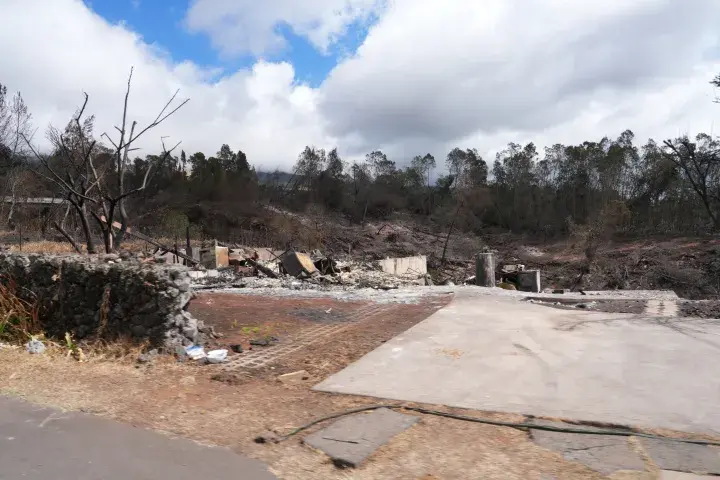 Image: Maui Wildfire Damage