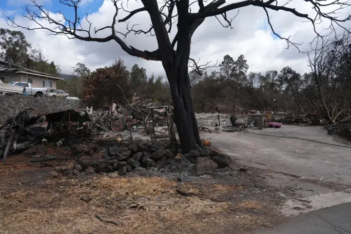 Image: Maui Wildfire Damage