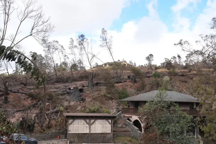 Image: Maui Wildfire Damage