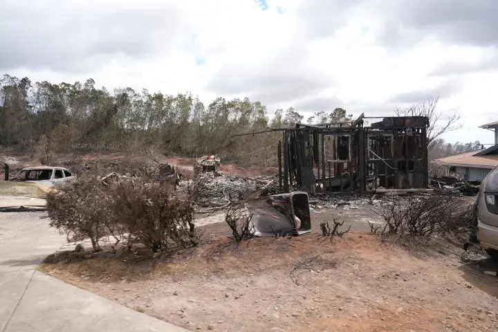 Image: Maui Wildfire Damage