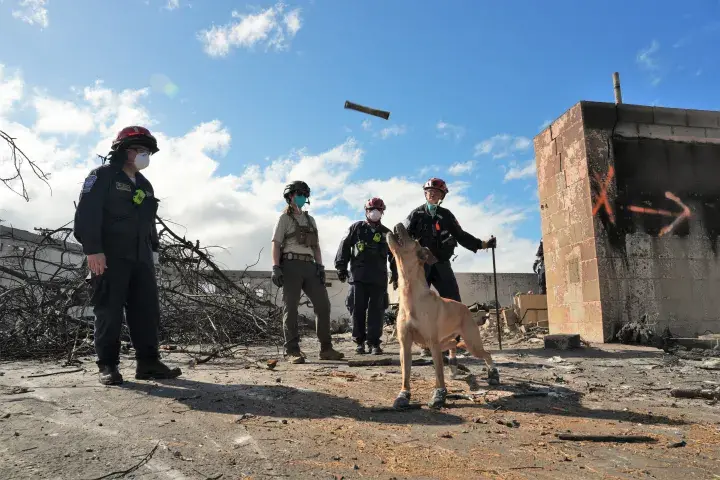 Image: FEMA Continues Urban Search and Rescue for Hawaii Wildfires