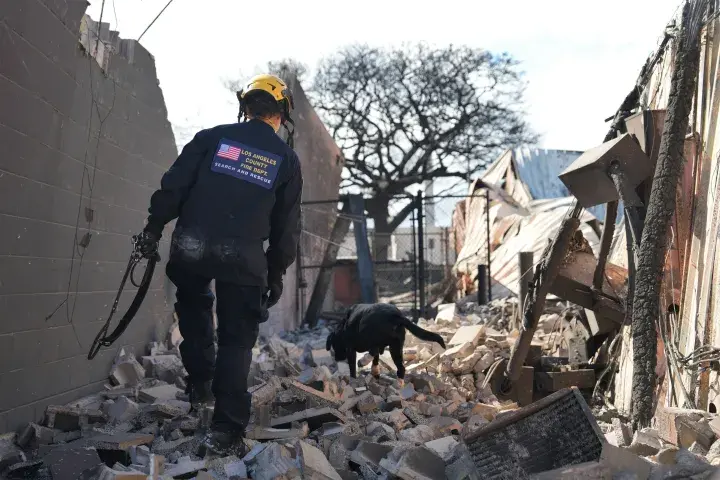 Image: FEMA Continues Urban Search and Rescue for Hawaii Wildfires