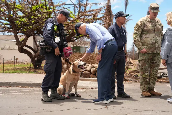 Image: President Biden Surveys Hawaii Wildfire Damage