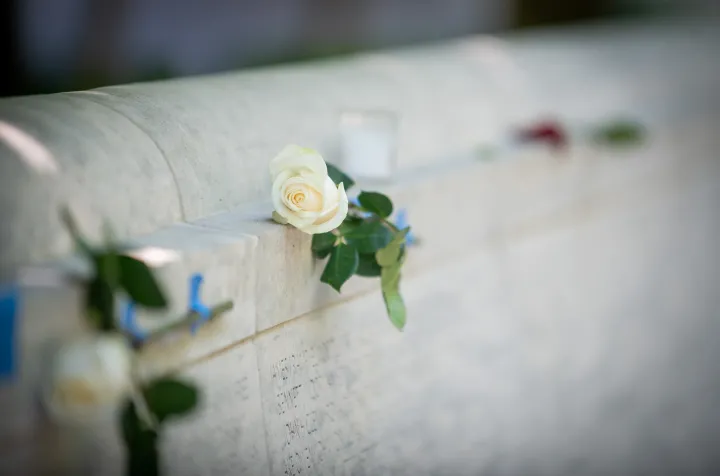 Image: White Rose at National Law Enforcement Officers Memorial on National Peace Officers Memorial Day