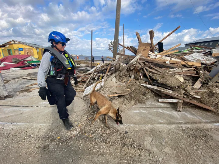 Image: Ohio Task Force 1 Conducts Search and Rescue Operations (2)