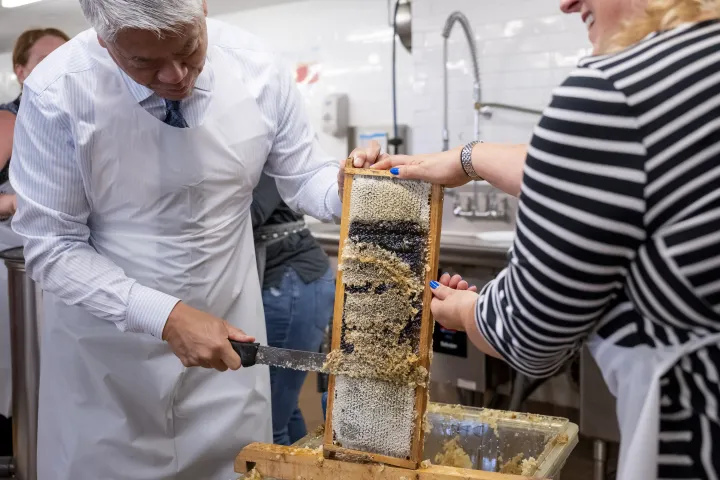 Image: DHS Employees Extract Honey From Bees on Campus (036)