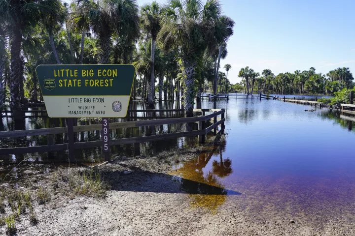 Image: Lake Harney Woods Flooded (2)