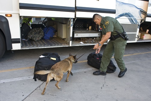A border patrol agent has a CBP K9 sniff bags